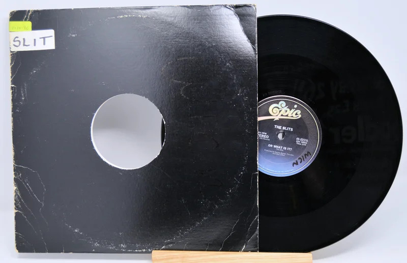 Slits, The - Earthbeat And EarthDub