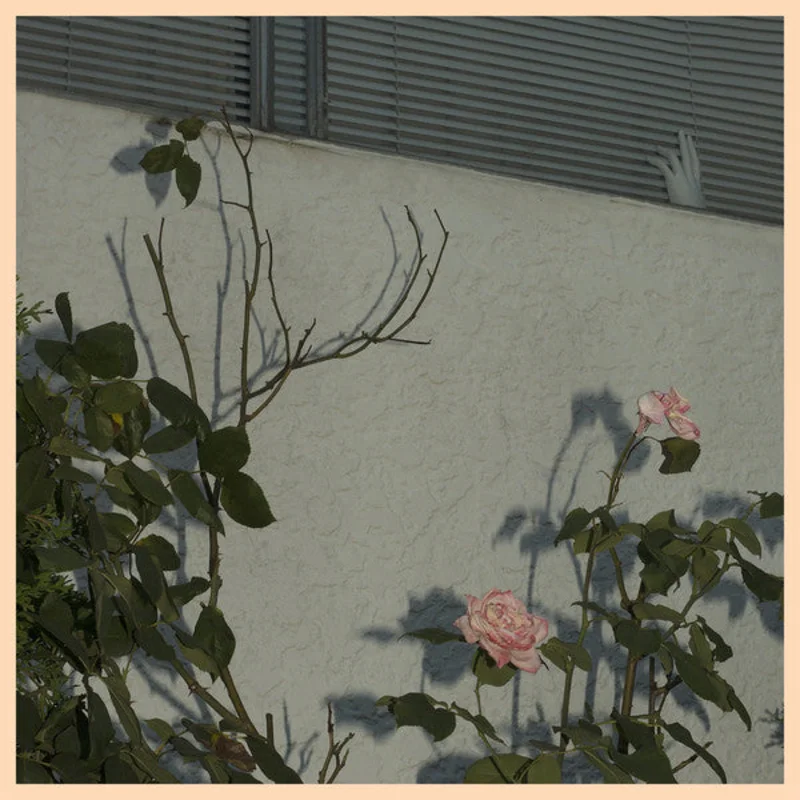 Soft Kill | Savior (New)
