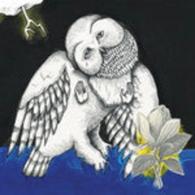 Songs: Ohia | The Magnolia Electric Co  (New)