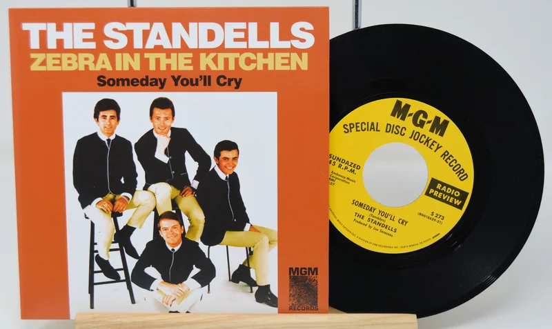 Standells - Zebra In The Kitchen / Someday You'll Cry