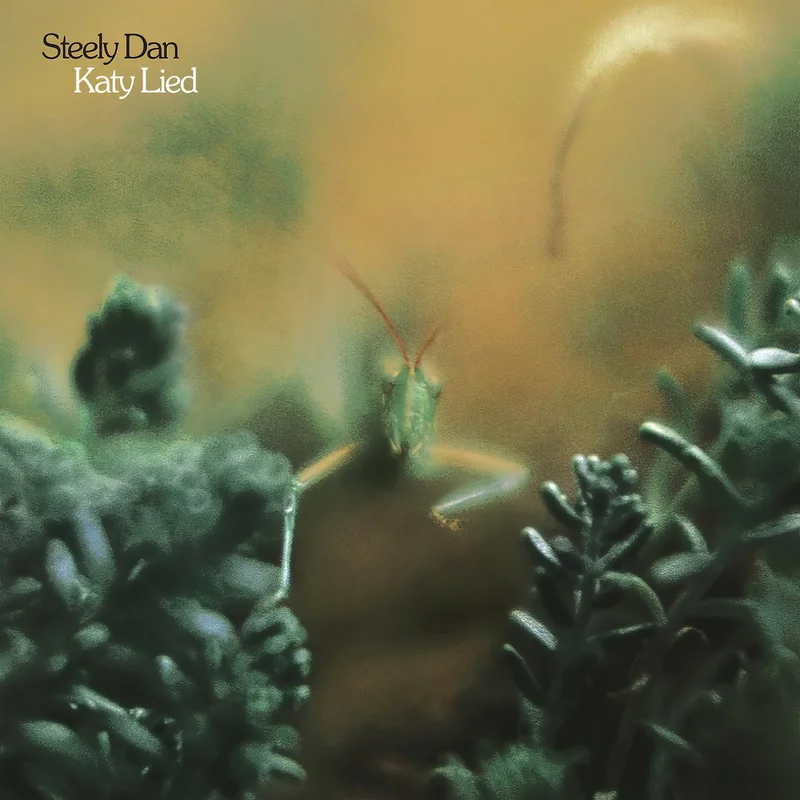 Steely Dan - Katy Lied [Black Vinyl LP]