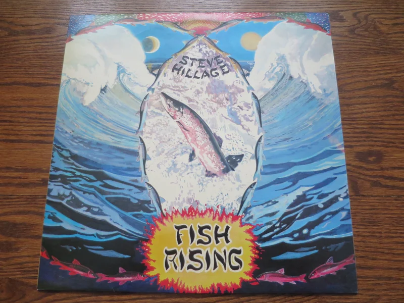 Steve Hillage - Fish Rising