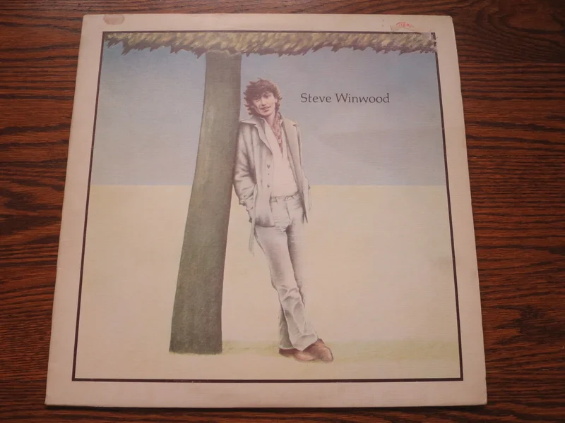 Steve Winwood - Steve Winwood