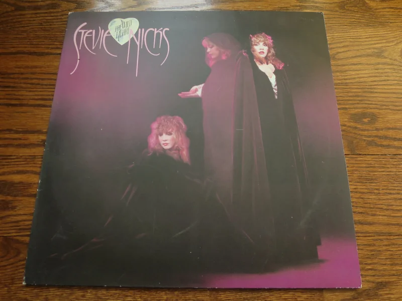 Stevie Nicks - The Wild Heart