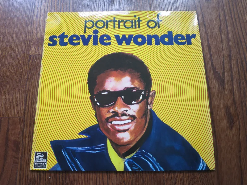Stevie Wonder - Portrait of Stevie Wonder