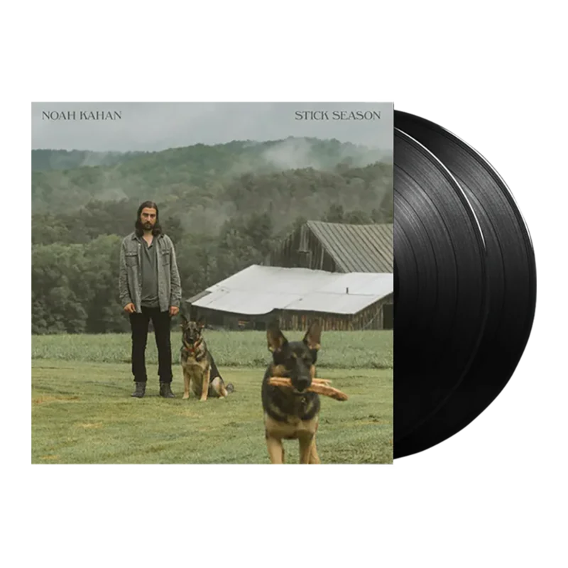 Stick Season 2LP