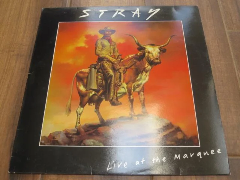 Stray - Live At The Marquee