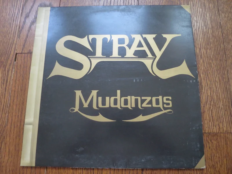 Stray - Mudanzas