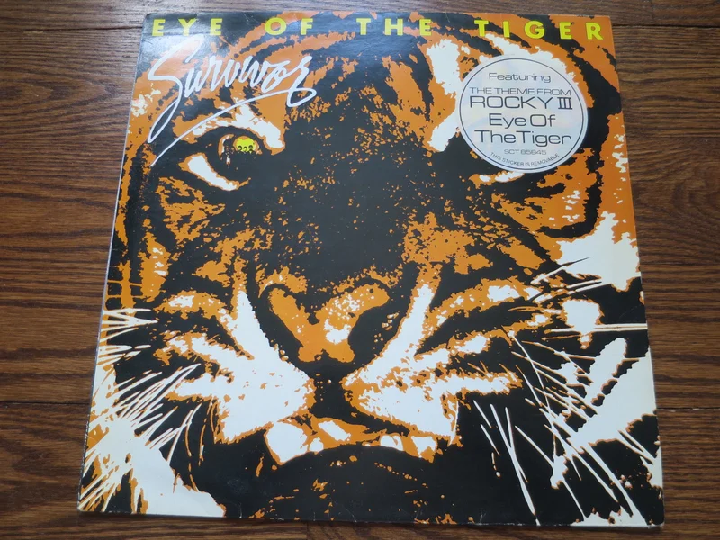 Survivor - Eye Of The Tiger