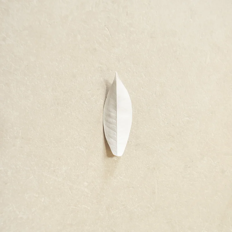 Sylvain Chauveau - The Complexity of the Simple
