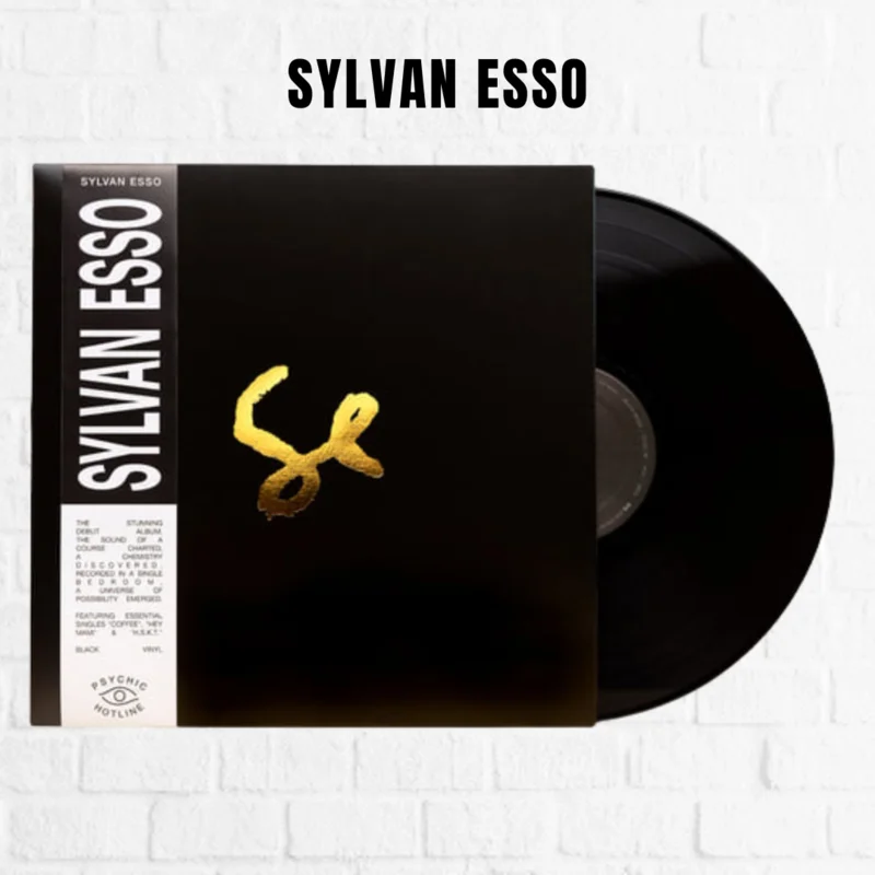 Sylvan Esso