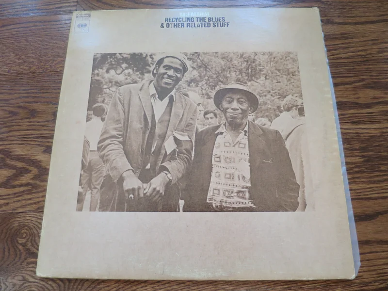 Taj Mahal - Recycling The Blues & Other Related Stuff