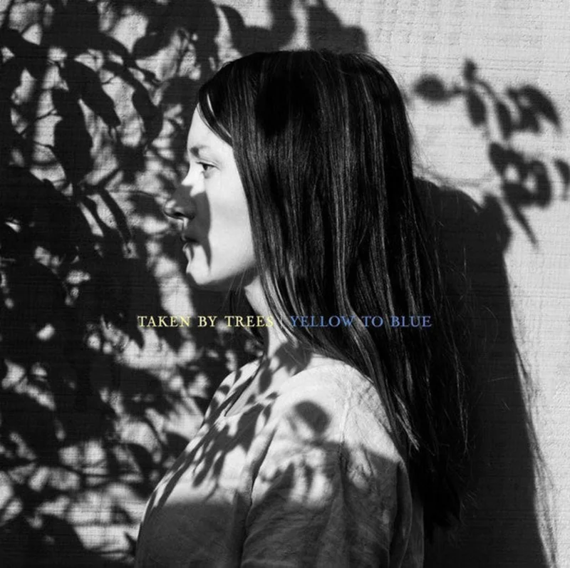 Taken By Trees | Yellow To Blue (New)
