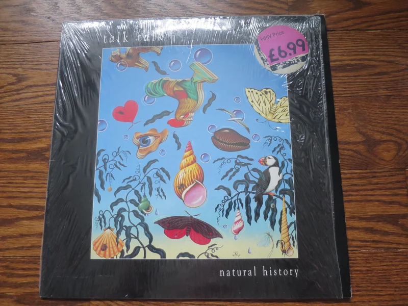 Talk Talk - Natural Historythe very best of Talk Talk