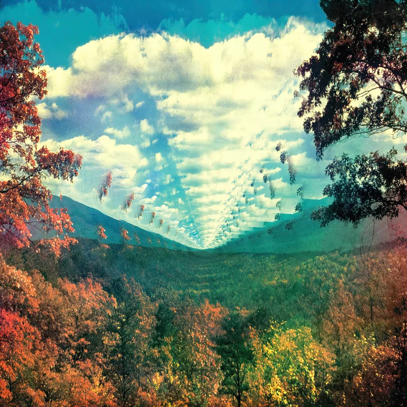 Tame Impala - Innerspeaker [2 LP, Black Vinyl]