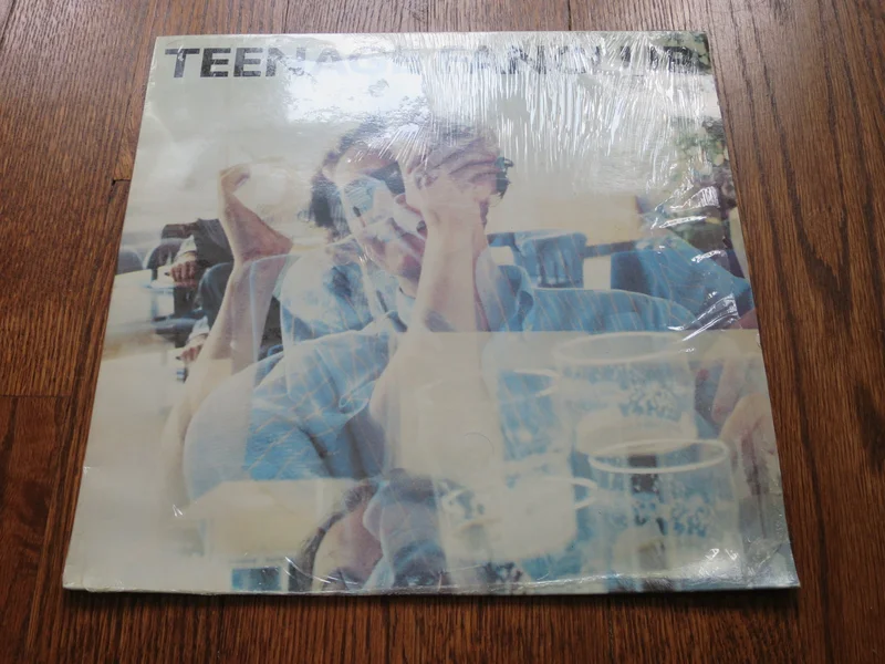 Teenage Fanclub - God Knows It's True 12"