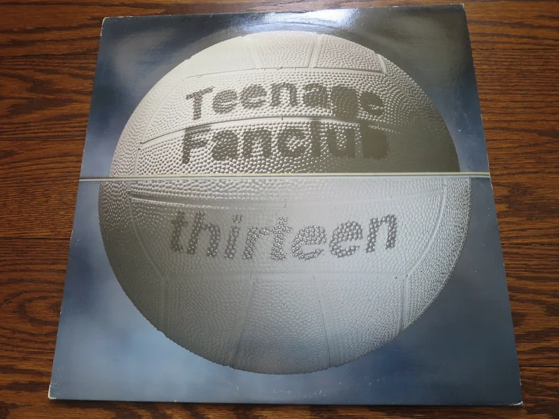 Teenage Fanclub - Thirteen