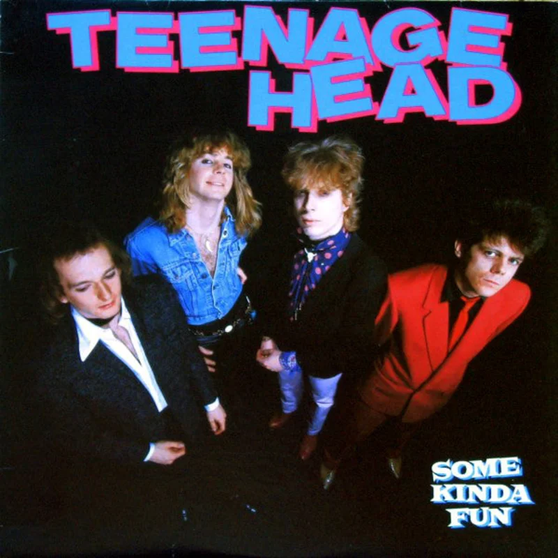 Teenage Head-Some Kinda Fun LP