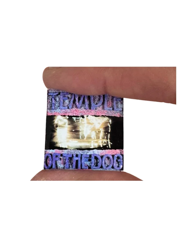 Temple of the Dog Miniature Vinyl Record - 1:12 Scale Dollhouse Decor