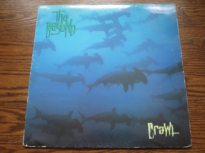 The Beyond - Crawl