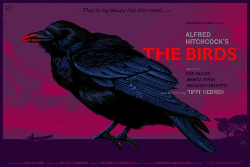 The Birds (They Bring Beauty) (Variant)