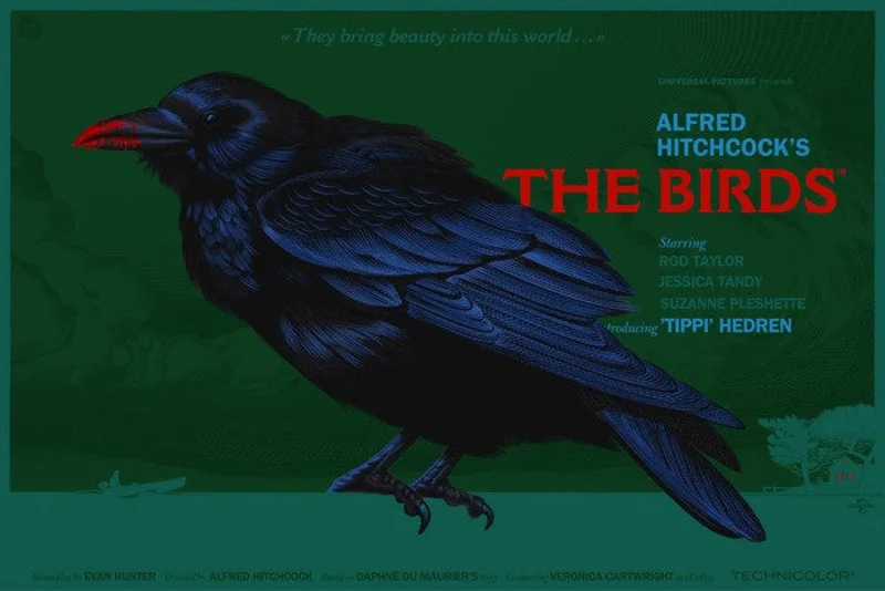 The Birds (They Bring Beauty)