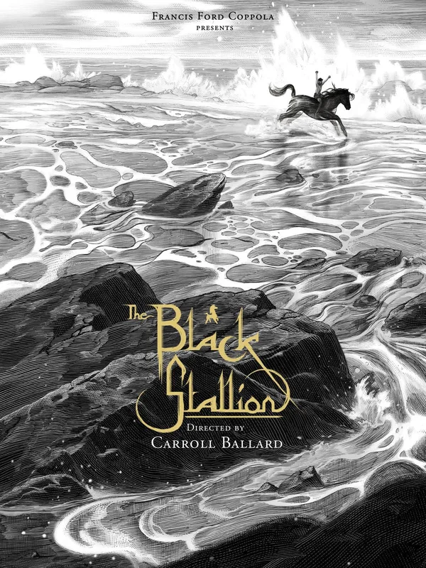 The Black Stallion