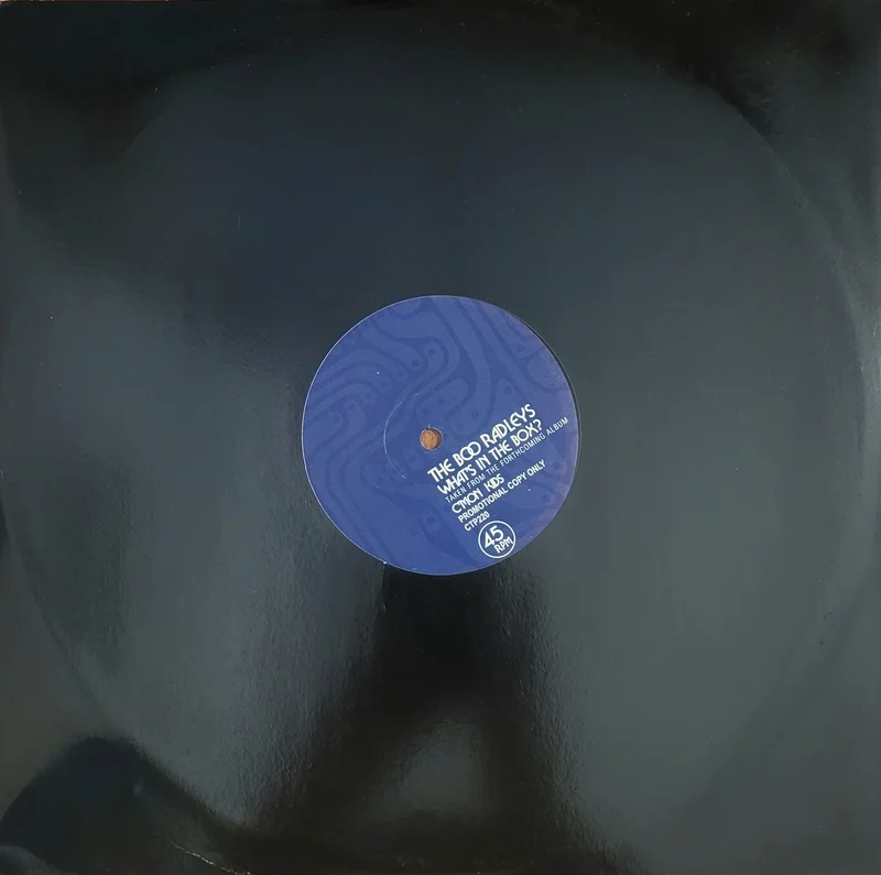 The Boo Radleys - What's In The Box 12" Single (Promo)