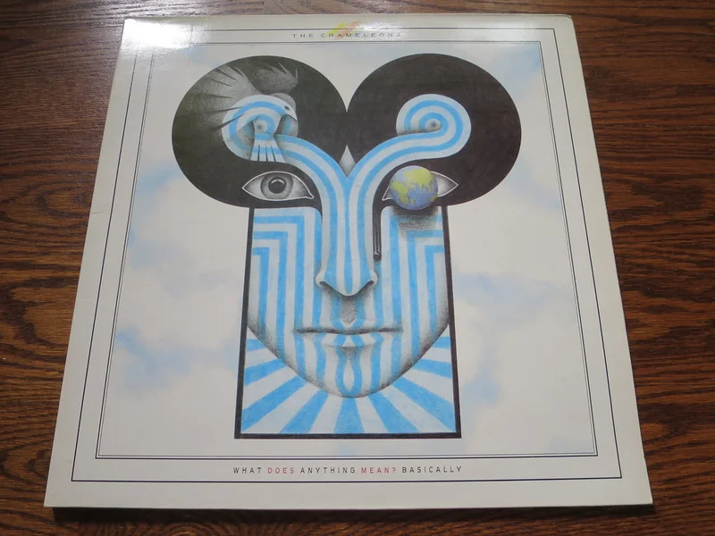 The Chameleons - What Does Anything Mean? Basically