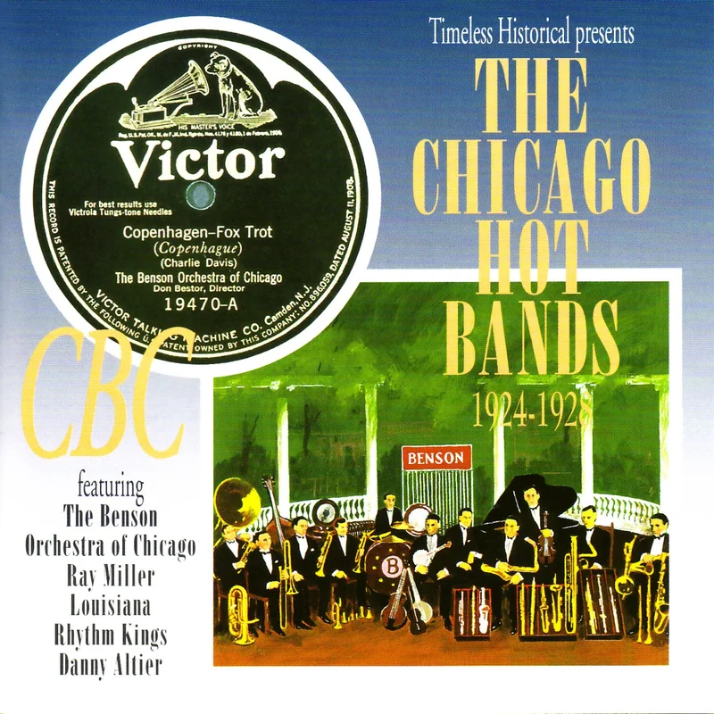 THE CHICAGO HOT BANDS 1924 - 1928