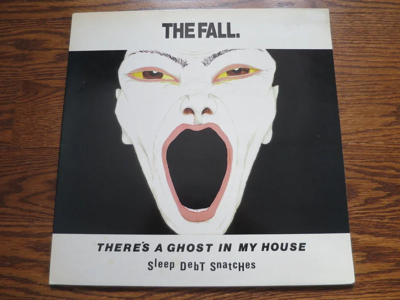 The Fall - There's A Ghost In My House