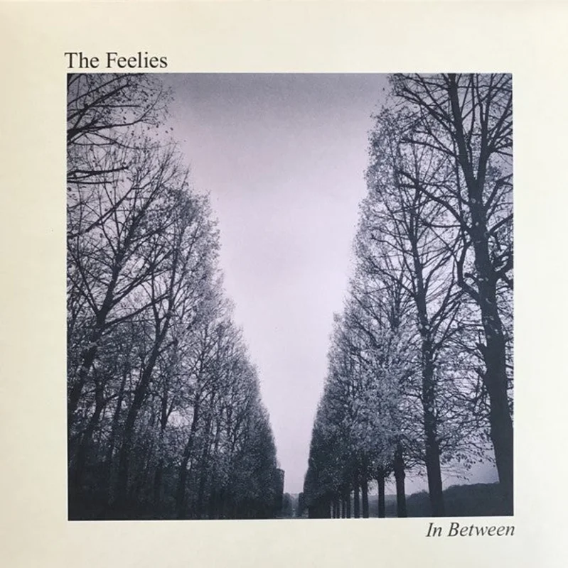 The Feelies | In Between  (New)