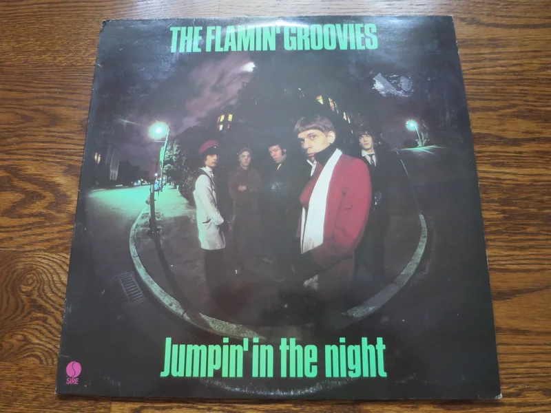 The Flamin' Groovies - Jumpin' In The Night