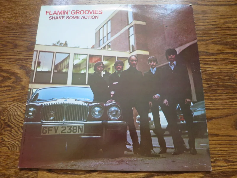 The Flamin' Groovies - Shake Some Action