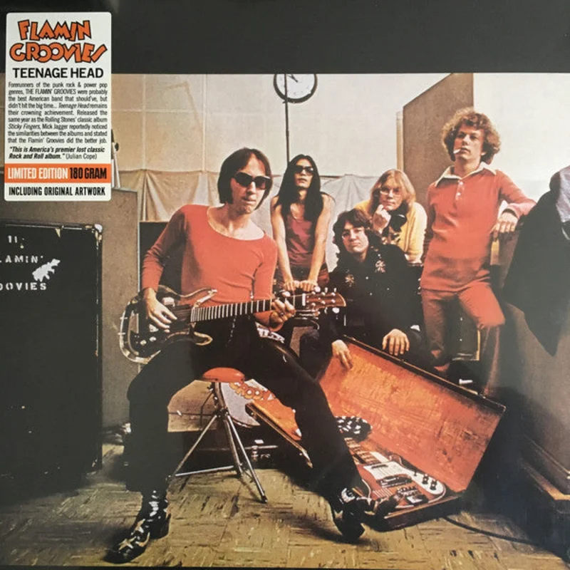 The Flamin' Groovies | Teenage Head (New)