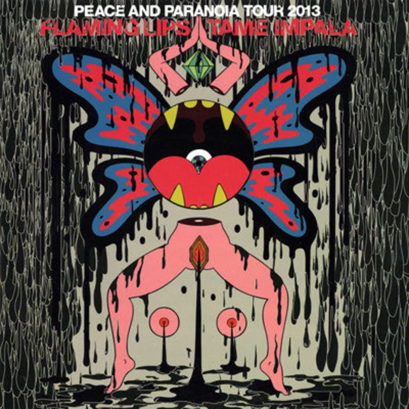 The Flaming Lips | Peace And Paranoia Tour 2013