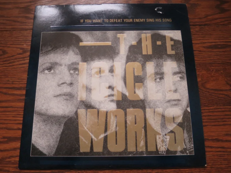 The Icicle Works - If You Want To Defeat Your Enemy Sing His Song