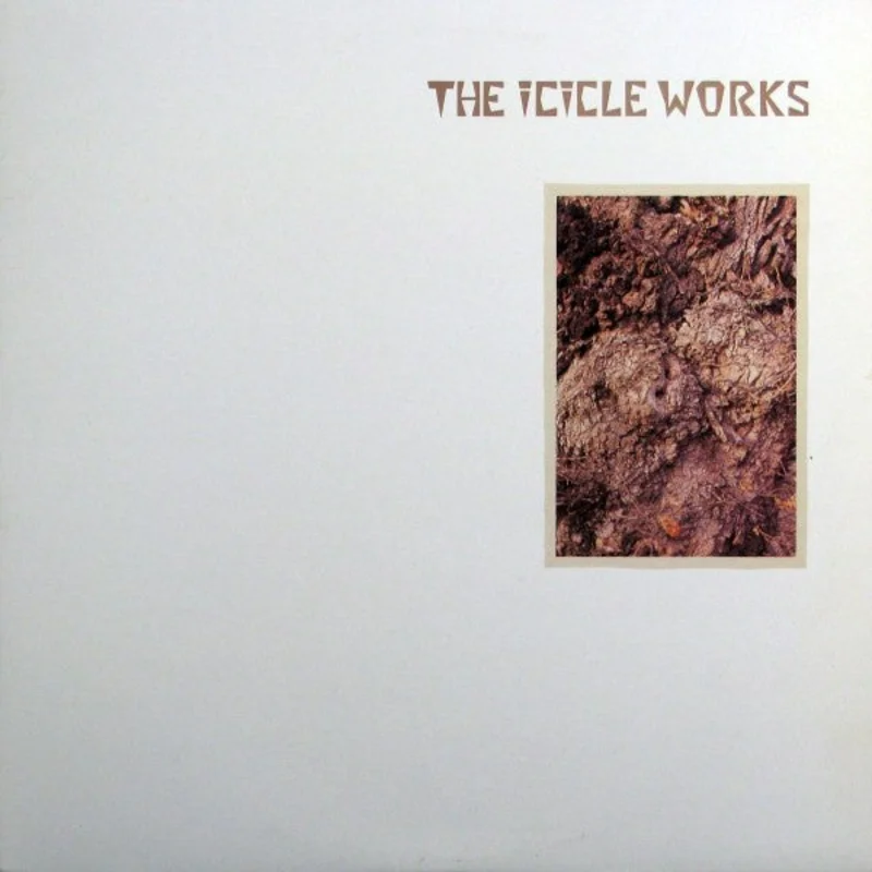 The Icicle Works-The Icicle Works LP