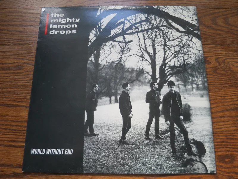 The Mighty Lemon Drops - World Without End
