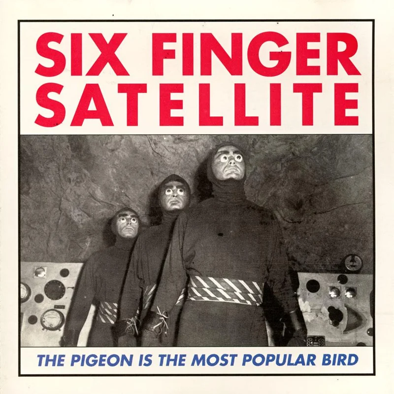 The Pigeon is the Most Popular Bird