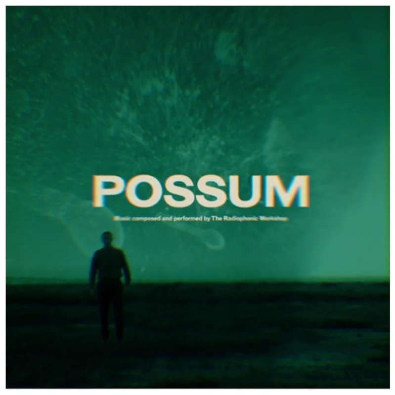 The Radiophonic Workshop - Possum OST
