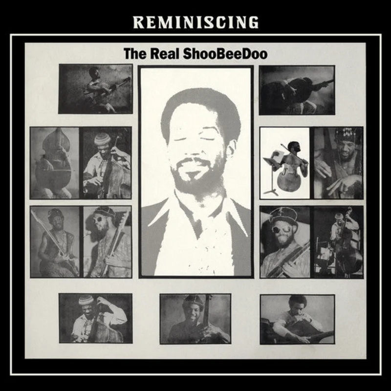 The Real ShooBee Doo | Reminiscing (New)