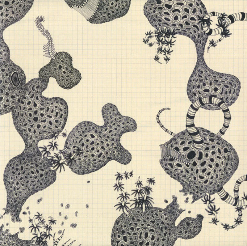 The Shins | Wincing The Night Away (New)