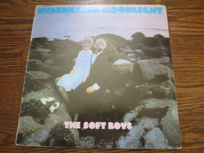 The Soft Boys - Underwater Moonlight