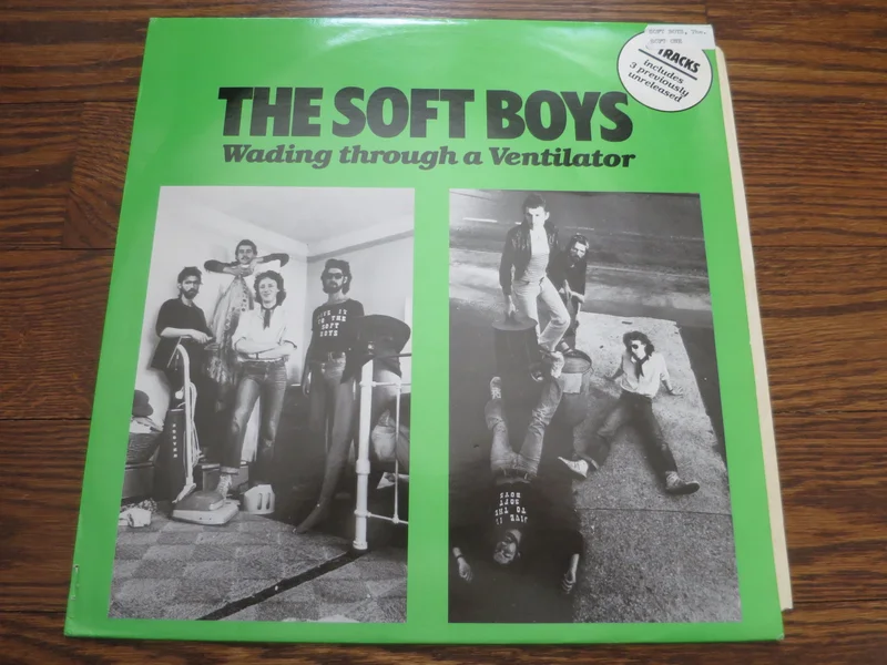 The Soft Boys - Wading Through A Ventilator