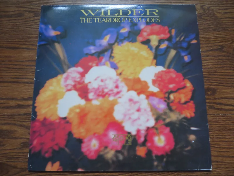 The Teardrop Explodes - Wilder