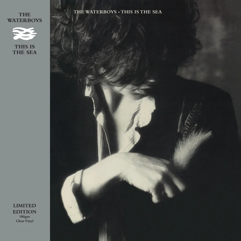 The Waterboys - This Is The Sea (Limited Edition)