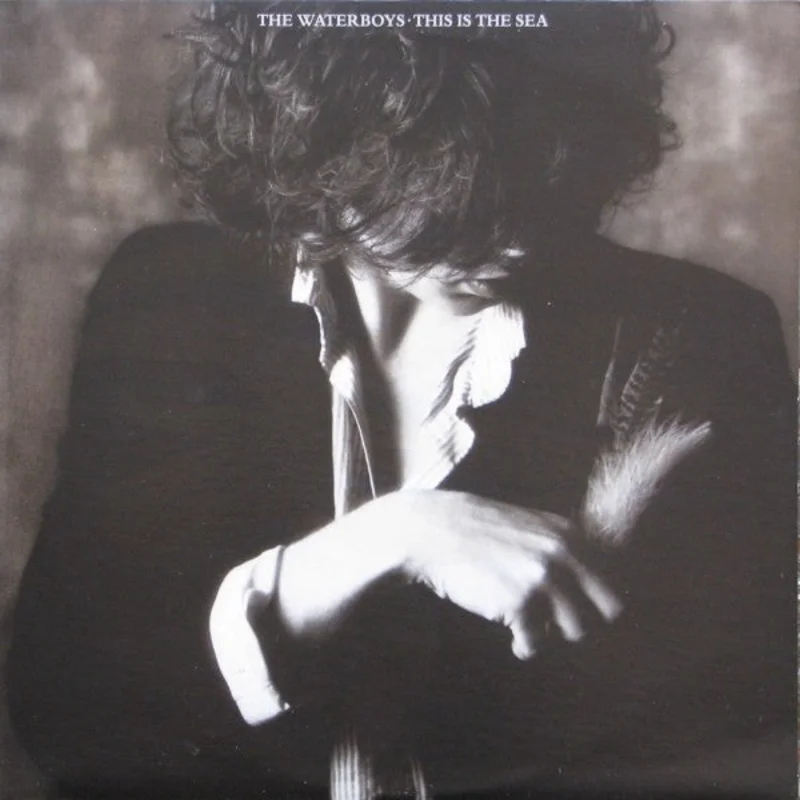 The Waterboys-This Is The Sea LP Final Sale