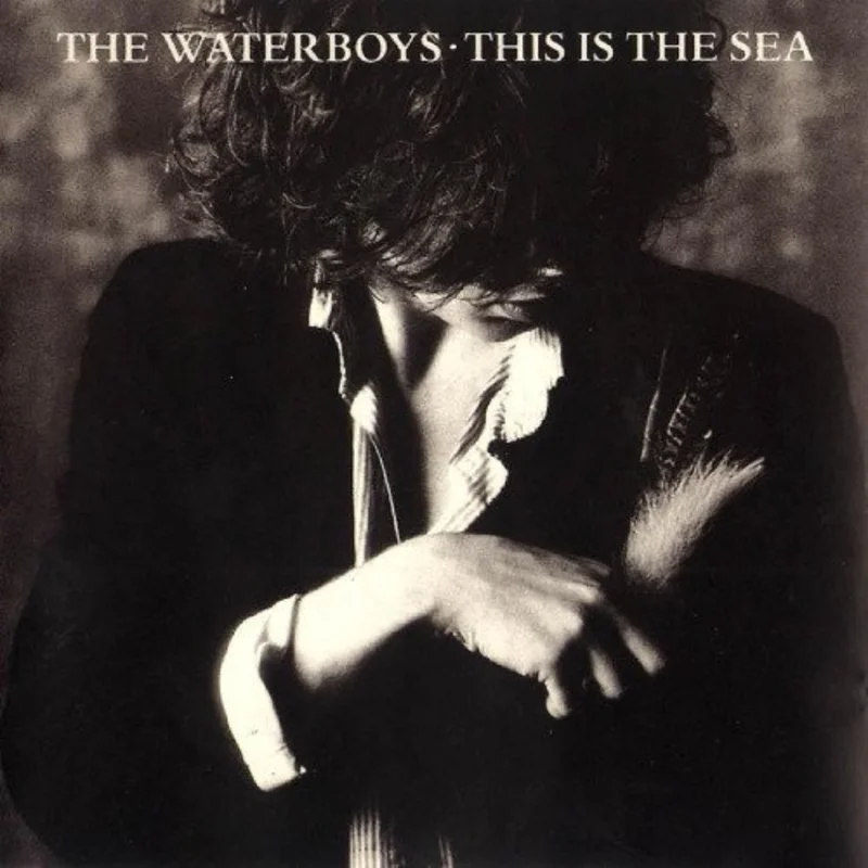 The Waterboys-This is the Sea