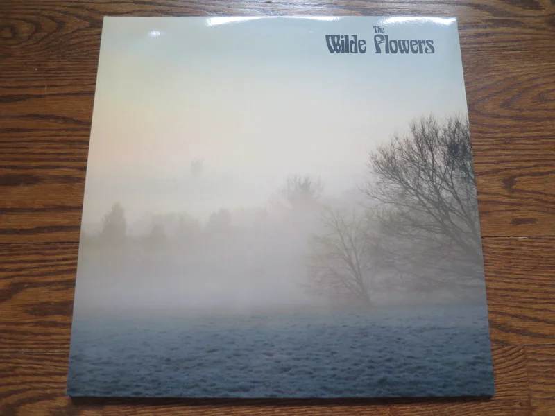 The Wilde Flowers - The Wilde Flowers